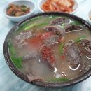 전통홍어 이미지