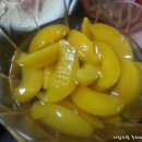 뉴멕시칸 이미지