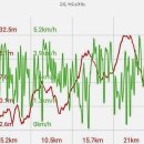 원조언양옛날곰탕 이미지