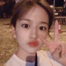 우리들의 댕댕이 이미지