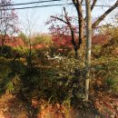 내곡동477 이미지