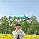 이마트24 구리토평점 | 구리 가볼만한곳 유채꽃 축제 실시간 개화 현황