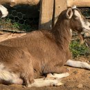 나나펜션 이미지