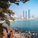 부산 해운대 동백섬 산책로 누리마루 부산 야경 명소