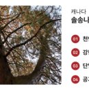 매일사우나 이미지