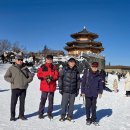 덕유산 티스토리