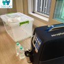 온양동물병원 | “아산 노령묘 초롱, 숨소리가 점점 거칠어지던 밤… 산소방 설치 후 찾아온 조용한 안도”