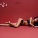 땅콩짐S 이미지