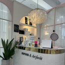 레푸스&아트포레 이미지