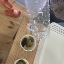 참좋은 월천합기도 이미지