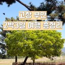 고인돌휴게소(하행선) | 아이랑 고창 부안 2박 3일 여행 숙소 조개 캐기 일정 경비 총정리