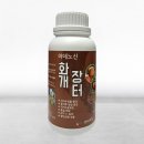 (주)네오팜