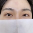 쁨래쉬 네이버블로그