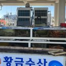 씨푸드앤레스호프