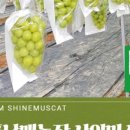 명품펜션갤러리 이미지