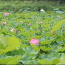 내동마을회관 이미지