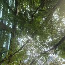 현대백화점 디큐브시티 5층-2 이미지