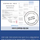 리쥬랩 피토 베리어 크림 사용 후기｜파이토신크림으로 피부 장벽 집중 케어