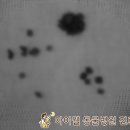 아이웰 동물의료센터 이미지