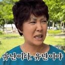 도시 강아지 이미지