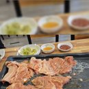 흑돼지수 이미지