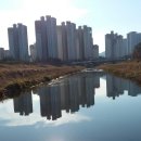 율곡천 이미지