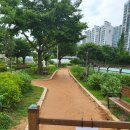 뚝섬한강공원-68 | 뚝섬한강공원 후기 – 놀거리, 쉴거리, 볼거리 가득한 도시 속 여유의 섬