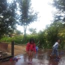 산장파크 이미지