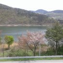 기억나무펜션 이미지