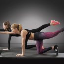 (주)에클로게 이미지