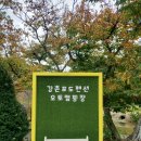 강촌포도펜션 오토캠핑장 1박2일 캠핑 후기