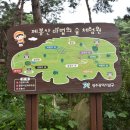 제봉산 마법의 숲체험원 이미지