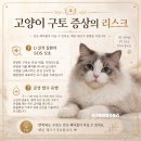 (주)천일에너지 고양허브 | 고양이 수명 평균 늘리는 법: 집고양이 수명 단축 행동 7가지와 관리 수칙