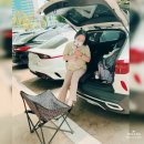 루씨루씨애견유치원 | 올림픽공원 미니글램핑 (루루씨 간만에 서울나들이)