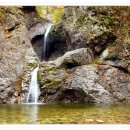 주왕산약국 이미지