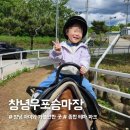 승마장 | 창녕 우포승마장 상세 솔직 후기｜아이와 승마체험, 마차·썰매·동물농장 총정리