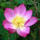 하늘바람 이미지