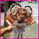 최신꽃화원