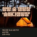 솔바다캠핑장 | 해수욕장 도보 10분거리 소나무 숲 속 캠핑장 &lt;솔바다 캠핑장&gt;::사이트추천, 바다가는 길, 주변 맛집...