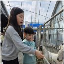 용인대멋진태권도 이미지