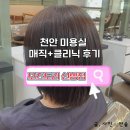 아람빌딩 | 천안 신방동미용실 추천 | 모즈토리신방점 아람디자이너 매직+클리닉 후기