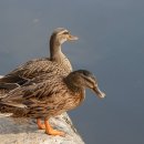 본초한의원 이미지