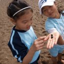 서귀서초등학교 이미지