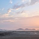 가경주항 | 태안 안면도 가경주항 쭈꾸미 낚시 후기