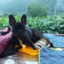 백보한의원 이미지