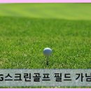 SG스크린골프여주가남점