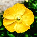 센트럴울산치과의원 이미지