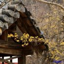 솔숲갈래길 이미지