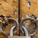 꽃피는언덕 이미지