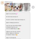 트윈퍼피 이미지